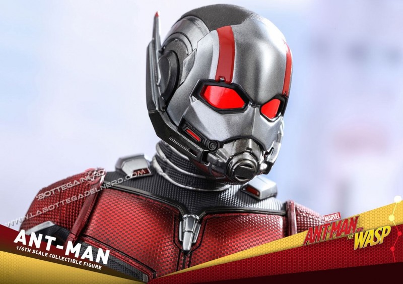 Ant-Man & The Wasp - ANTMAN 2 800x563