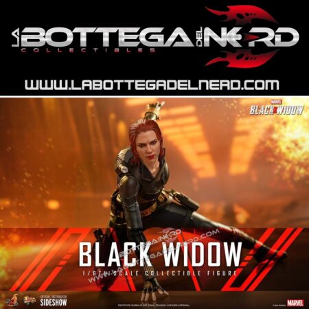 Black Widow Movie - Action Figure 1/6 Black Widow 28cm