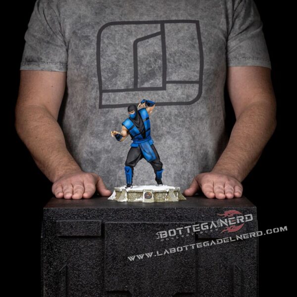Mortal Kombat - Statue 1/10 Sub-Zero (Ninjas Collection) 21cm - immagine 8