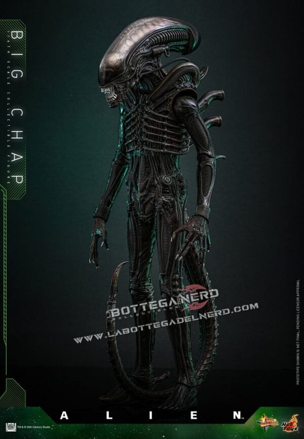 Alien - Masterpiece Action Figure 1/6 Big Chap 36cm - immagine 7