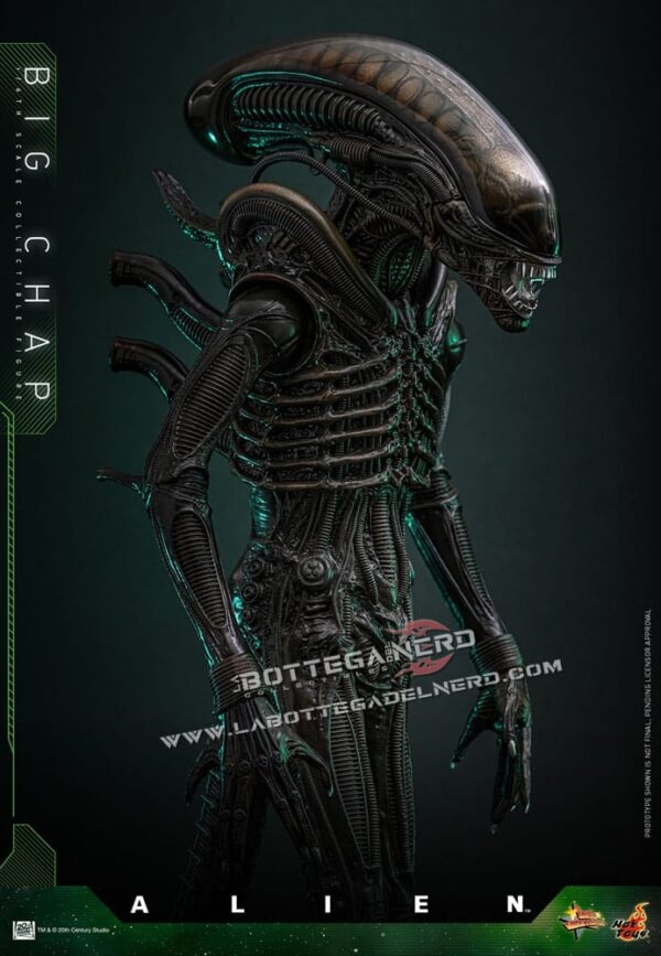 Alien - Masterpiece Action Figure 1/6 Big Chap 36cm - immagine 6