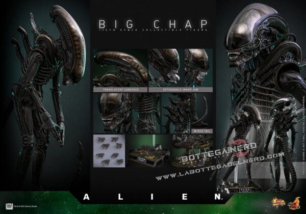 Alien - Masterpiece Action Figure 1/6 Big Chap 36cm - immagine 13
