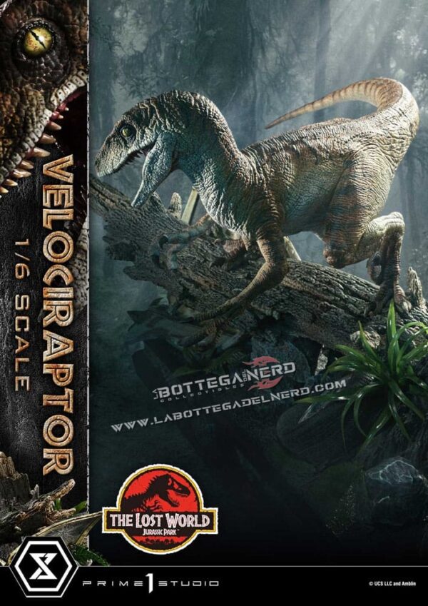 Jurassic Park II - Museum Collection Statue 1/6 Velociraptor 59cm - immagine 11