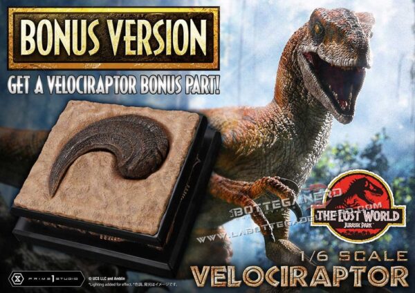 Jurassic Park II - Museum Collection Statue 1/6 Velociraptor Bonus 59cm - immagine 2