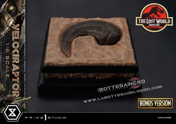 Jurassic Park II - Museum Collection Statue 1/6 Velociraptor Bonus 59cm - immagine 5