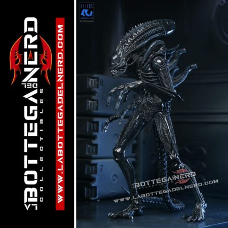 Aliens - Action Figure Warrior (1986) Xenomorph Black (40th Anniversary) 23cm