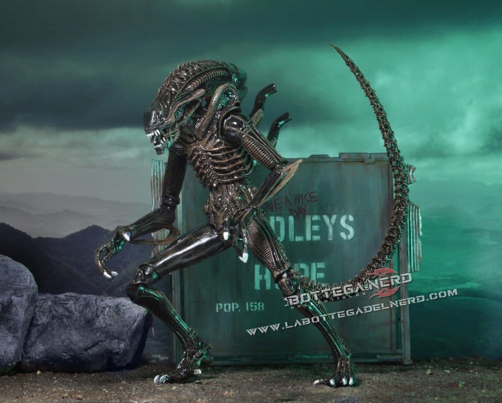 Aliens - Ultimate Action Figure Warrior (1986) Brown 23cm - immagine 3