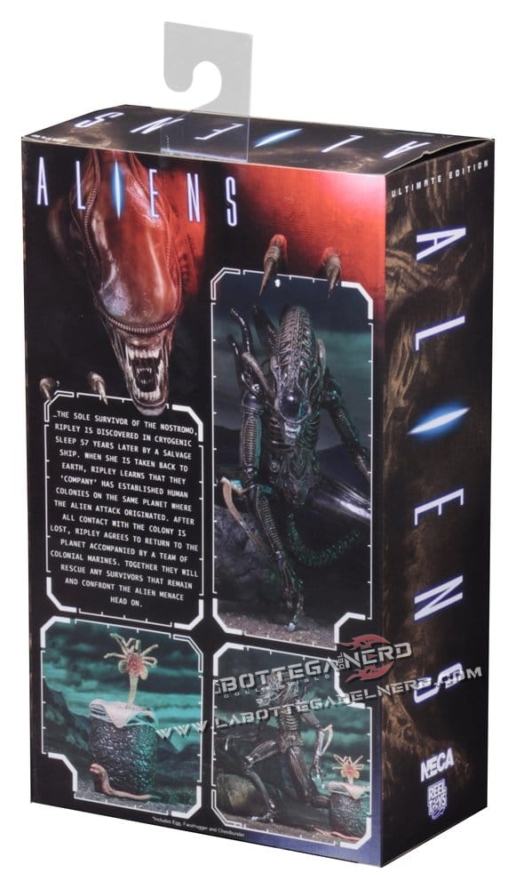 Aliens - Ultimate Action Figure Warrior (1986) Brown 23cm - immagine 7