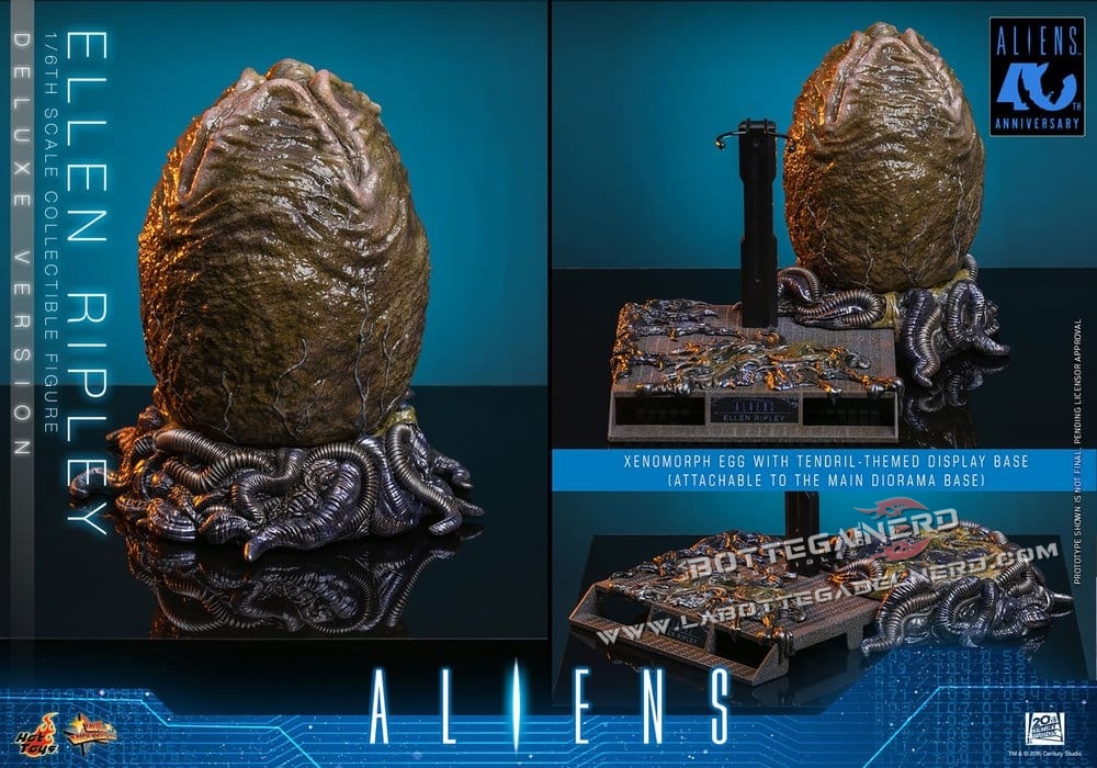 Aliens - Action Figure 40th 1/6 Ellen Ripley Deluxe 30cm - immagine 10